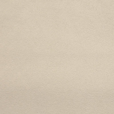 JF FABRICS-SENSUEDE-905J6221