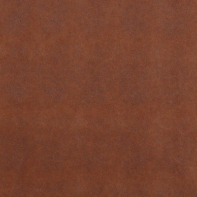 JF FABRICS-SHARK-35J7091