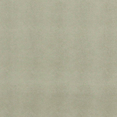 JF FABRICS-SHARK-94J7091