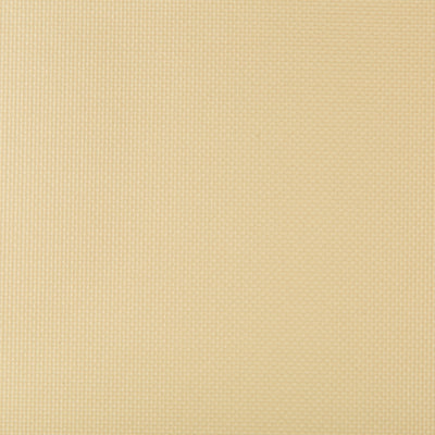 KRAVET FABRICS - SIDNEY - BUBBLY
