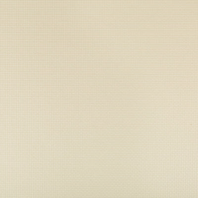 KRAVET FABRICS - SIDNEY - PAPYRUS