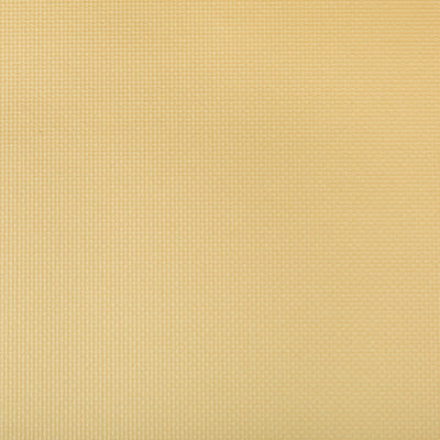 KRAVET FABRICS - SIDNEY - SOFT GOLD