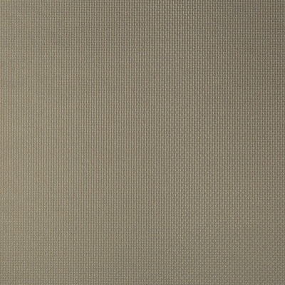 KRAVET FABRICS - SIDNEY - PORCINI