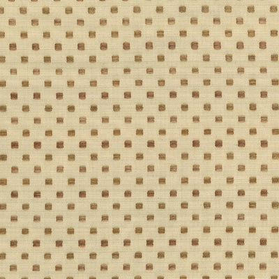 KASMIR FABRICS-SPANGLES - RAFFIA