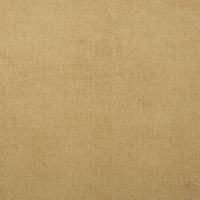 KRAVET DESIGN - SPARTA-1