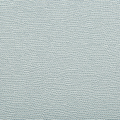 KRAVET FABRICS - SPARTAN - ICEBERG