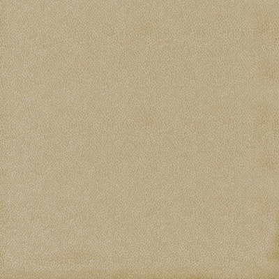 KASMIR FABRICS-SPONTANEITY - CEDAR