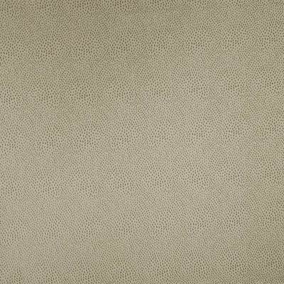 Kasmir Fabrics , a selection of fabrics such as velvet, damask, cotton, silk, linen and sheers.