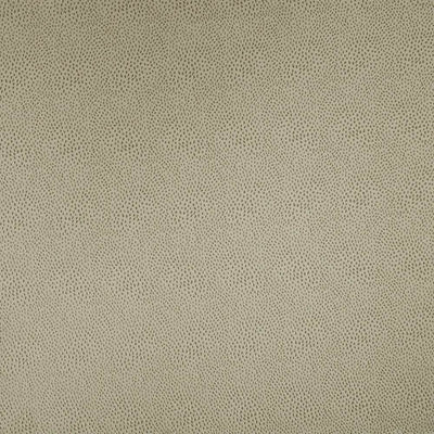 KASMIR FABRICS-SPONTANEITY - PLATINUM