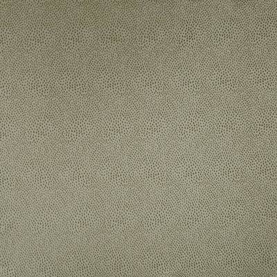 Kasmir Fabrics , a selection of fabrics such as velvet, damask, cotton, silk, linen and sheers.