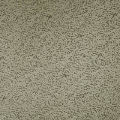 KASMIR FABRICS-SPONTANEITY - TAUPE