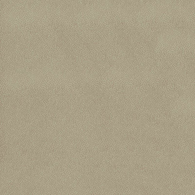 KASMIR FABRICS-SPONTANEITY - WHEAT