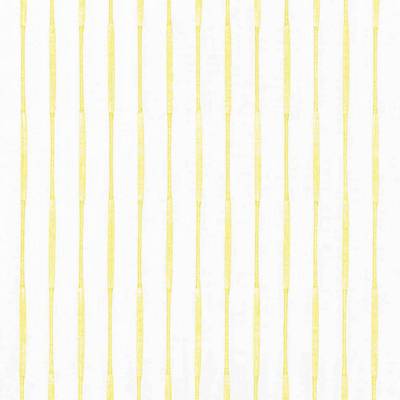 Kasmir Fabrics , a selection of fabrics such as velvet, damask, cotton, silk, linen and sheers.