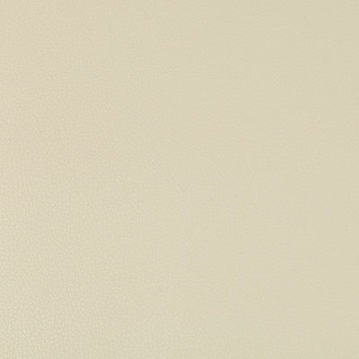 KRAVET FABRICS - SYRUS - STONE