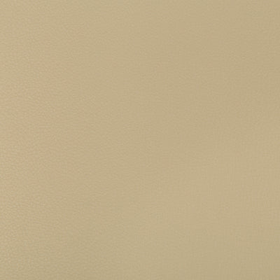 KRAVET FABRICS - SYRUS - STUCCO