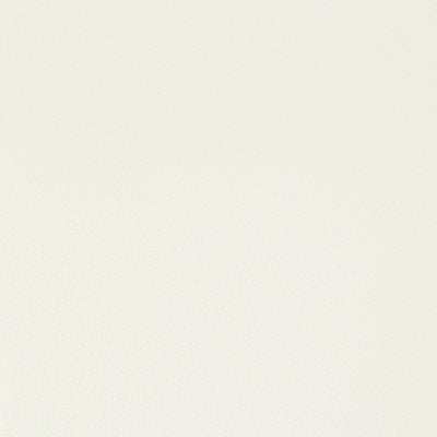 KRAVET FABRICS - SYRUS - GESSO