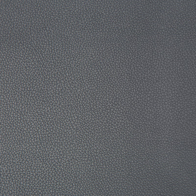 KRAVET FABRICS - SYRUS - IRON