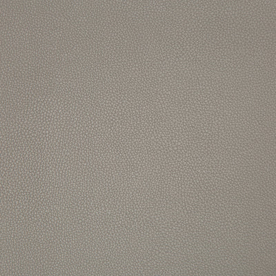 KRAVET FABRICS - SYRUS - TRUFFLE
