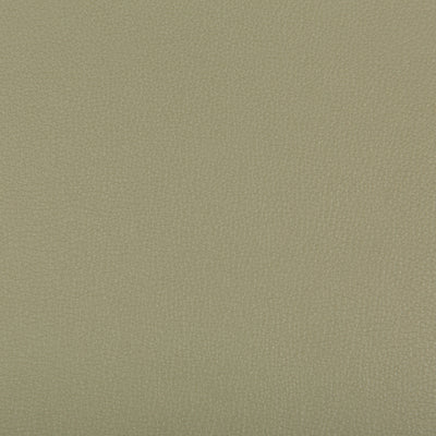 KRAVET FABRICS - SYRUS - SAGE