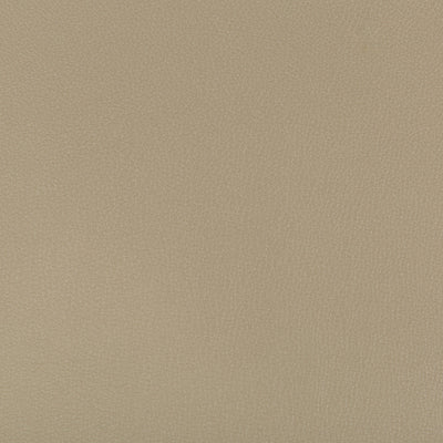 KRAVET FABRICS - SYRUS - ELM
