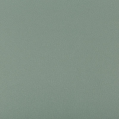 KRAVET FABRICS - SYRUS - HERBAL
