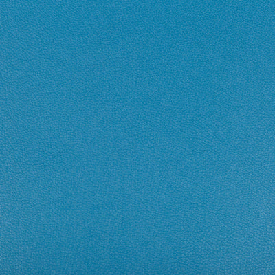 KRAVET FABRICS - SYRUS - POOLSIDE