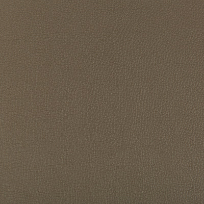 KRAVET FABRICS - SYRUS - PORCINI