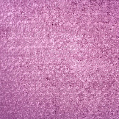 JF FABRICS-TERRITORY-55J5901
