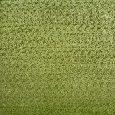 JF FABRICS-TERRITORY-75J5901