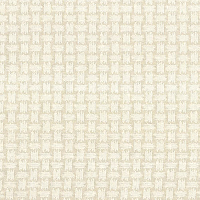 KASMIR FABRICS-THATCH - SALT