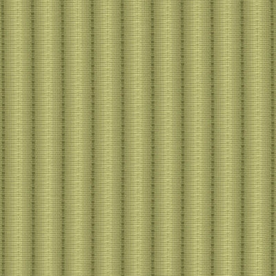 KASMIR FABRICS-THE STRIP - VERDE