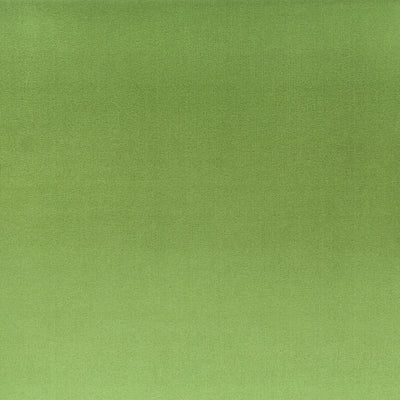STOUT FABRICS-TINKER 2 BASIL