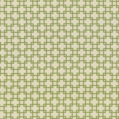 KASMIR FABRICS-TUNECHI - KIWI