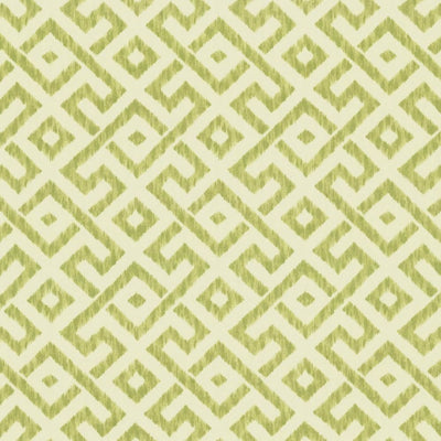 KASMIR FABRICS-WANDER - LICHEN