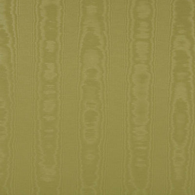 KASMIR FABRICS-WOODMARK - HONEYDEW
