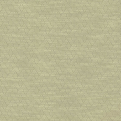 KASMIR FABRICS-WOVEN - DOVE