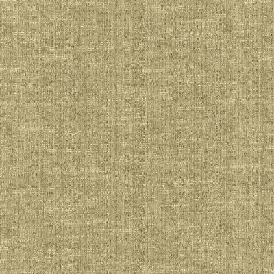 KASMIR FABRICS-ZENITH - COIN